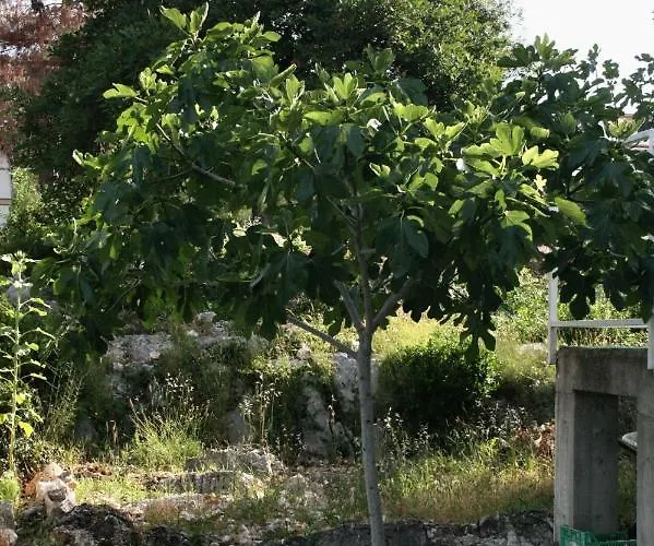 Апартаменты Jezera 5109b Езера